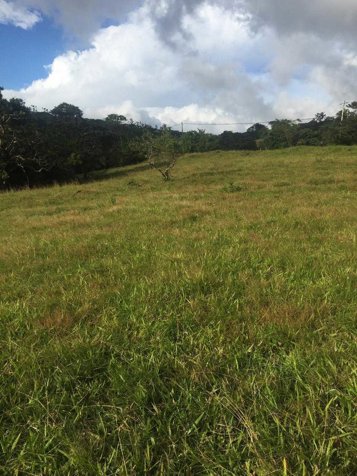 🏞️ LOTE CON GRAN POTENCIAL DE DESARROLLO📍 Tilarán, Guanacaste en Tilarán, Guanacaste — ₡ 70 000 000 - Foto 2 de 4
