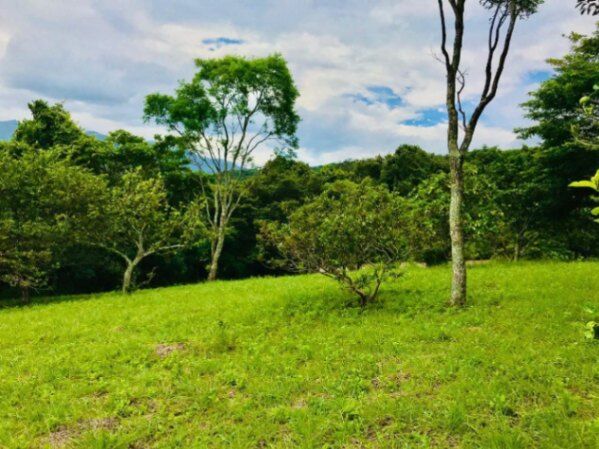 Lote paradisíaco en Ciudad Colón rodeado de naturaleza y paz total #26-1024 GS en Colón, Mora, San José — $425,000