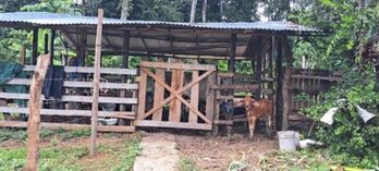 Hermosa Finca en Rio Claro en Guaycará, Golfito, Puntarenas — 97 000 000 ₡ - Foto 4 de 18