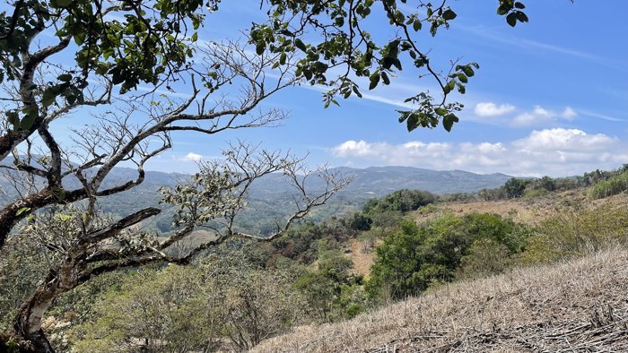 SE VENDE LOTE EN SAN PEDRO, SAN RAMON in San Ramón, Alajuela — $65,000 - Photo 2 of 33