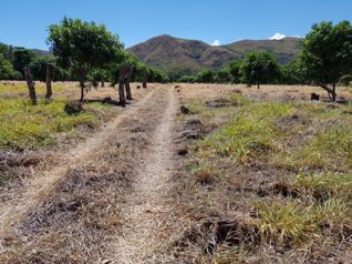 Venta de Finca en Turrubares en San Pedro, Turrubares, San José — $600,000 - Foto 2 de 5