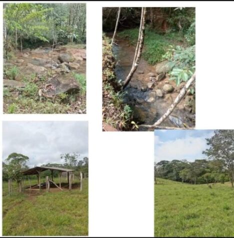 Venta de Finca  in Biolley, Buenos Aires, Puntarenas — ₡ 193 000 000