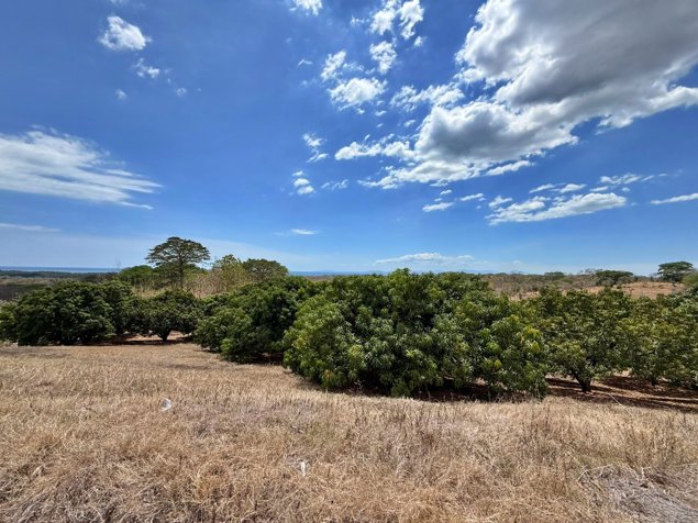 Venta finca con vista al mar y árboles frutales, Garabito. (MV) en Jacó, Garabito, Puntarenas — $560,000 - Foto 2 de 13