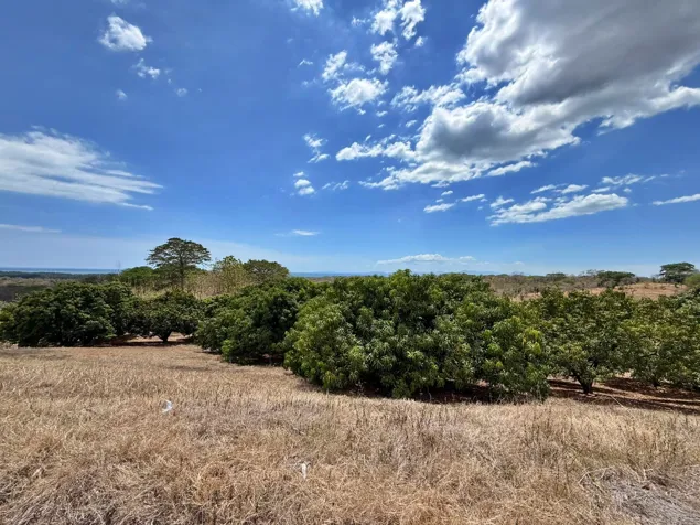 Venta finca con vista al mar y árboles frutales, Garabito. (MV) en Jacó, Garabito, Puntarenas — $560,000 - Foto 2 de 13