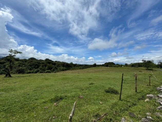 SE VENDE ESPECTACULAR FINCA EN QUEPOS, PUNTARENAS.  en Quepos, Puntarenas — $250,000