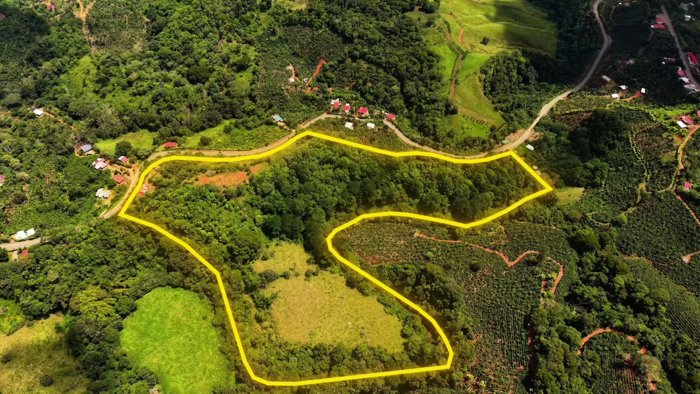 VENTA DE FINCA DE 8.1 HA CON DOS CASAS Y FRENTE DE RIO EN LAS MESAS, PEREZ ZELEDON en Cajón, Pérez Zeledón, San José — $249,999 - Foto 1 de 17