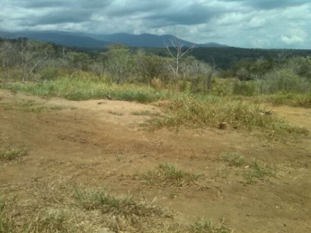 FINCA EN COSTA RICA in Potrero Grande, Buenos Aires, Puntarenas — ₡ 448 000 000
