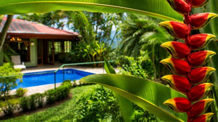 Casa y casa de huéspedes en un paraíso tropical en Vista Atenas. en Atenas, Alajuela — $537,500 - Foto 3 de 12