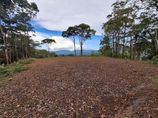 Finca de 1 Ha con 2 Planteles y Vistas Panorámicas en San Blas