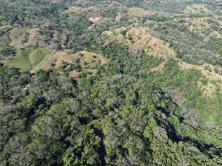 Venta de finca en Hojancha Guanacaste in Huacas, Hojancha, Guanacaste — $515,000,000 - Photo 4 of 9