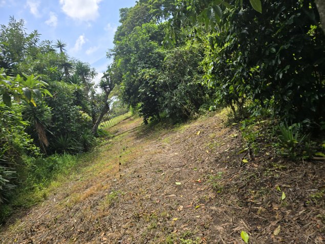 Lote en venta en Santo Domingo. Uso mixto - desarrollar. 5PVV9634224 en San Miguel, Santo Domingo, Heredia — $3,877,358 - Foto 2 de 15