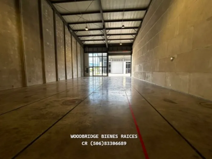 Alajuela bodega en alquiler en Ciruelas 312 metros en Alajuela — $2,652 - Foto 3 de 6