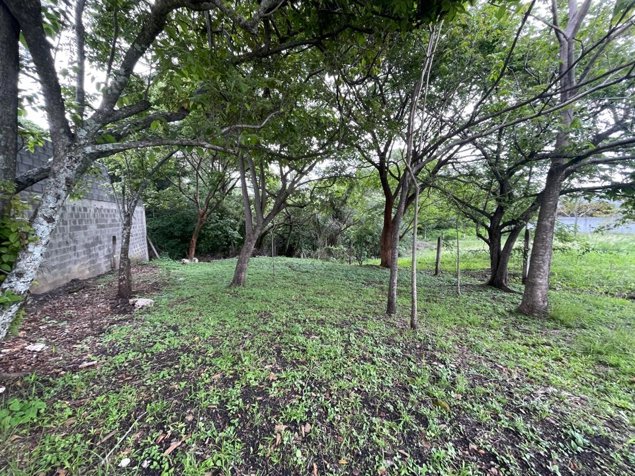 Terreno Exclusivo de 650m2 en Venta en Santa Ana en Piedades, Santa Ana, San José — $169,000 - Foto 3 de 6