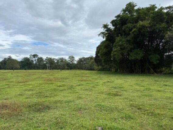 Finca San Jorge La Fortuna en La Fortuna, San Carlos, Alajuela — ₡ 35 000 000
