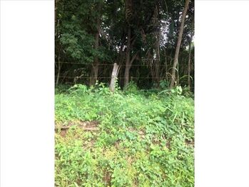 VENTA DE LOTE, GUANACASTE, SANTA CRUZ, OSTIONAL en Cuajiniquil, Santa Cruz, Guanacaste — $275,000 - Foto 4 de 5