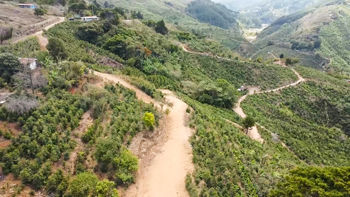 Se vende Finca de café HH, San Cristóbal, Zona de los Santos (FE). in San Cristóbal, Desamparados, San José — $2,500,000 - Photo 5 of 22