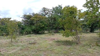 Venta Terreno Comercial Cañas Dulces Liberia Guanacaste en Cañas Dulces, Liberia, Guanacaste — $215,000 - Foto 5 de 14