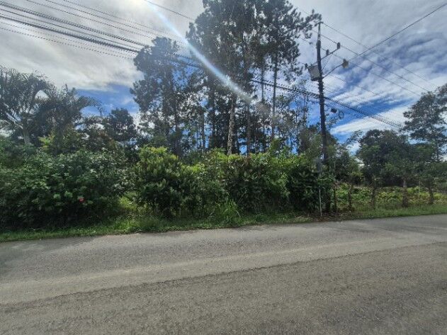 4046 m2 en Miraflores in El General, Pérez Zeledón, San José — $59,999