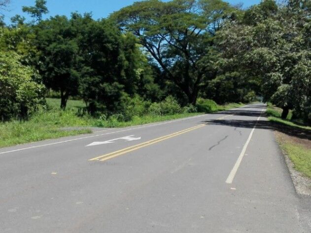Finca con Teca y Potencial Turístico cerca del Mar #26-981 GS en Lepanto, Puntarenas — $600,000