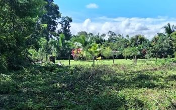 Lot For Sale In Guácimo, Limón in Guácimo, Limón — 9 328 975 ₡ - Photo 4 of 10