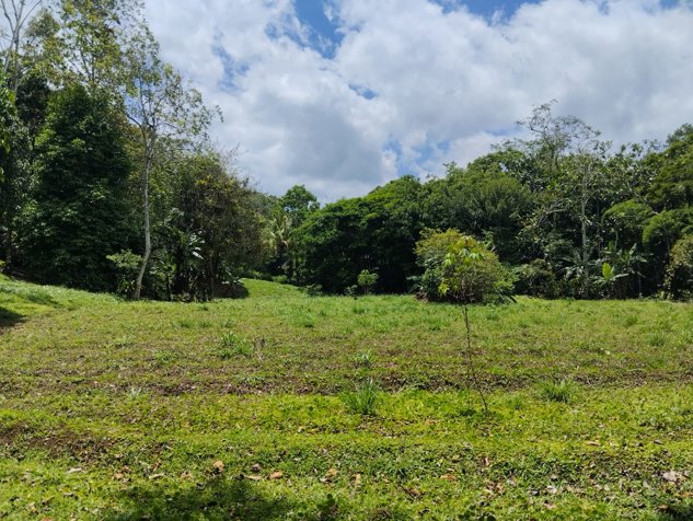 Venta de Propiedad en La Tigra de San Carlos in Pital, San Carlos, Alajuela — ₡ 140 000 000