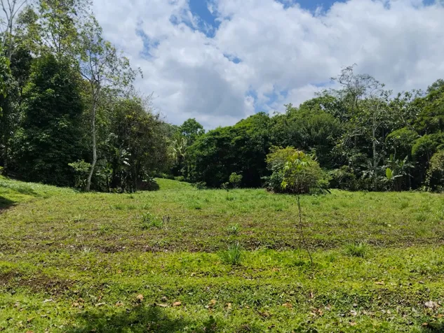 Venta de Propiedad en La Tigra de San Carlos en Pital, San Carlos, Alajuela — ₡ 140 000 000