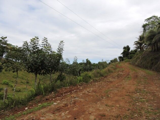 FINCA GANADERA 31.5 Ha EN SARAPIQUI in La Virgen, Sarapiquí, Heredia — ₡ 200 000 000