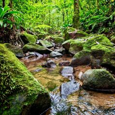 🌿 HIDDEN TREASURE ECO ESTATE | Luxury Off-Grid Property in Costa Rica en San Lorenzo, San Ramón, Alajuela — $1,099,000 - Foto 4 de 44