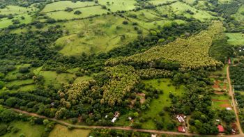 SE VENDE FINCA REFORESTADA EN SANTA RITA OROTINA en Coyolar, Orotina, Alajuela — 200 000 000 ₡ - Foto 5 de 34
