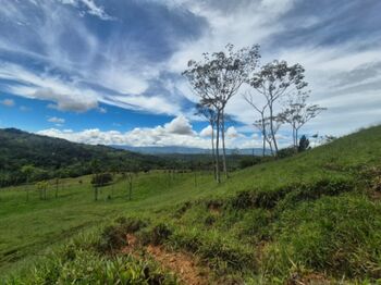 5.12 hectares en Miraflores, Perez Zeledon. in San Isidro De El General, Pérez Zeledón, San José — $359,999 - Photo 4 of 16