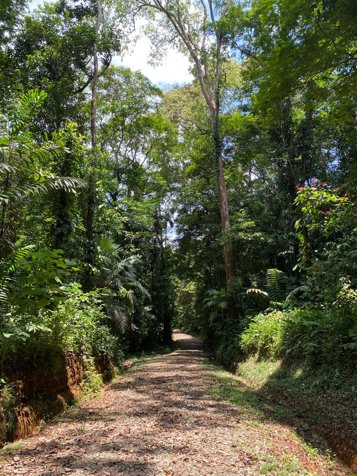 VENTA DE FINCA CON CASA, HEREDIA, SARAPIQUÍ, LA VIRGEN en La Virgen, Sarapiquí, Heredia — $420,000