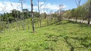 SE VENDE PRECIOSA FINCA EN LAS BRISAS DE SAN VITO.  in San Vito, Coto Brus, Puntarenas — 240 000 000 ₡ - Photo 5 of 19