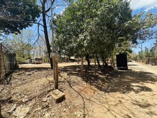 Ready-to-Build 1,766 m² Lot Near Tamarindo: Utilities Included in Tamarindo, Santa Cruz, Guanacaste — 85 000 000 ₡ - Photo 5 of 6
