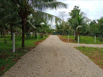 Lote en Venta Las Horquetas, Sarapiquí, Heredia