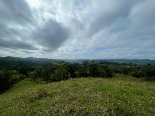 ESPECIAL FINCA GANADERA EN TURRUBARES, SAN JOSÉ.  en Carara, Turrubares, San José — $1,000,000
