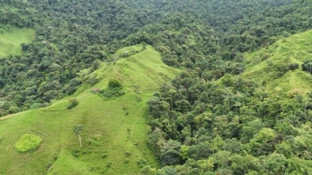 BEAUTIFUL LAND FOR SALE: 30 HECTARES IN BARÚ, PÉREZ ZELEDÓN WITH WATERFALL en Barú, Pérez Zeledón, San José — $250,000