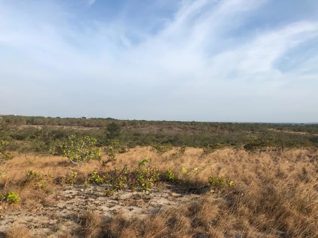 Propiedad de 9 hectáreas en Liberia, Guanacaste en Liberia, Guanacaste — $3,150,000 - Foto 2 de 6