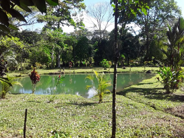 VENTA DE FINCA, USO MIXTO, ALAJUELA, SAN CARLOS, LA TIGRA en La Tigra, San Carlos, Alajuela — ₡ 160 000 000