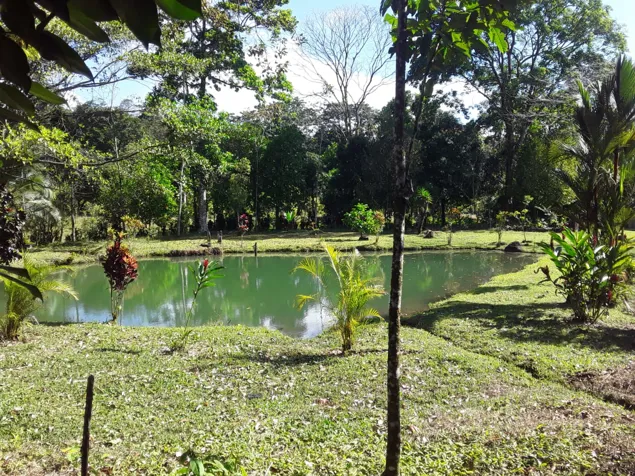 VENTA DE FINCA, USO MIXTO, ALAJUELA, SAN CARLOS, LA TIGRA en La Tigra, San Carlos, Alajuela — ₡ 160 000 000