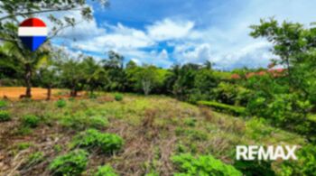 REBAJO DE PRECIO: LOTE 100% PLANO DE 1.084 M2 EN EL PILAR DE CAJON, PEREZ ZELEDON in Cajón, Pérez Zeledón, San José — $51,000 - Photo 5 of 7