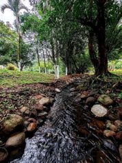 Quinta Turística y Comercial en Valle Azul de San Ramón in San Ramón, Alajuela — 70 000 000 ₡ - Photo 5 of 22