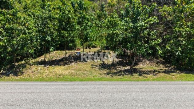 LOTE EN VENTA EN TAWAL, OSA – 5,029 m² CON USO MIXTO Y FRENTE A CARRETERA PRINCIPAL en Puerto Cortés, Osa, Puntarenas — $120,000