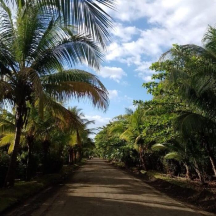 Preventa de lotes en Playa Bajamar a solo 13 minutos del peñon de Guacalillo in Tárcoles, Garabito, Puntarenas — ₡ 25 000 000