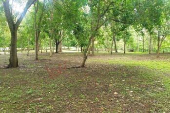 FInca de 4,5 ha en Garabito Puntarenas – naturaleza, producción y tranquilidad en un solo lugar in Tárcoles, Garabito, Puntarenas — $490,000 - Photo 4 of 5
