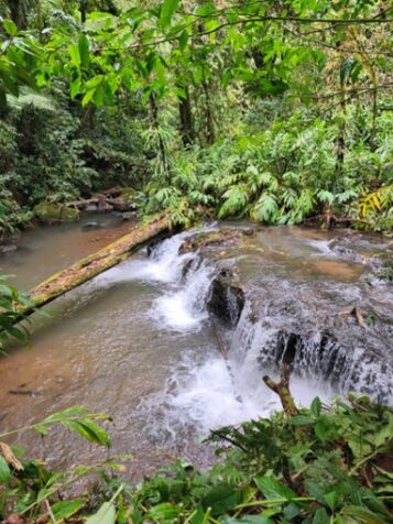 16 ha Eco-Lodge Development Property - Restaurant & Cabins en Vara Blanca, Heredia — $1,700,000