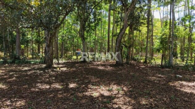 LOTE EN VENTA EN LAS JUNTAS DE PACUAR, PÉREZ ZELEDÓN – 1,200 m² PLANO Y LISTO PARA CONSTRUIR en Río Nuevo, Pérez Zeledón, San José — $74,000