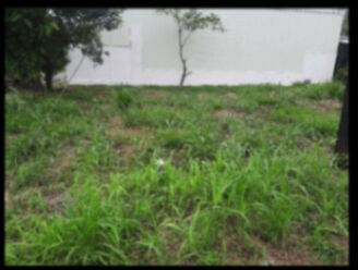 Se vende Lote en zona de alta plusvalía en La Fortuna .  en La Fortuna, San Carlos, Alajuela — ₡ 70 000 000