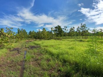 Inversión en Guanacaste, Costa Rica! Propiedad de 10,010 m²  in Belén, Carrillo, Guanacaste — 26 000 000 ₡ - Photo 5 of 7