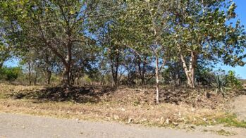 Lote residencial en Playa Flamingo cerca de la Marina in Cabo Velas, Santa Cruz, Guanacaste — $320,000 - Photo 4 of 5