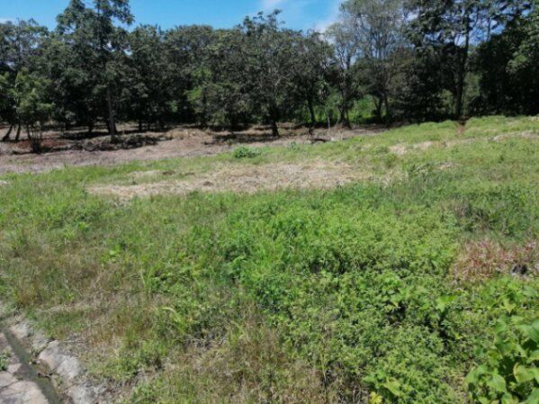 LOTE EN VENTA, ALAJUELA NARANJO, Cod#23-1338 en Naranjo, Alajuela — ₡ 23 500 000